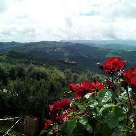 Poggio Al Vento Guest House Castiglione dʼOrcia Екстериор снимка