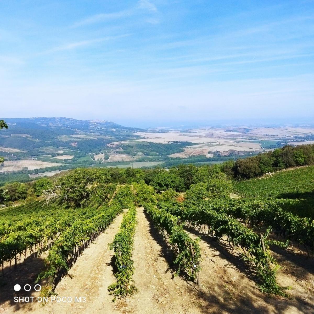 Poggio Al Vento Guest House Castiglione dʼOrcia Екстериор снимка