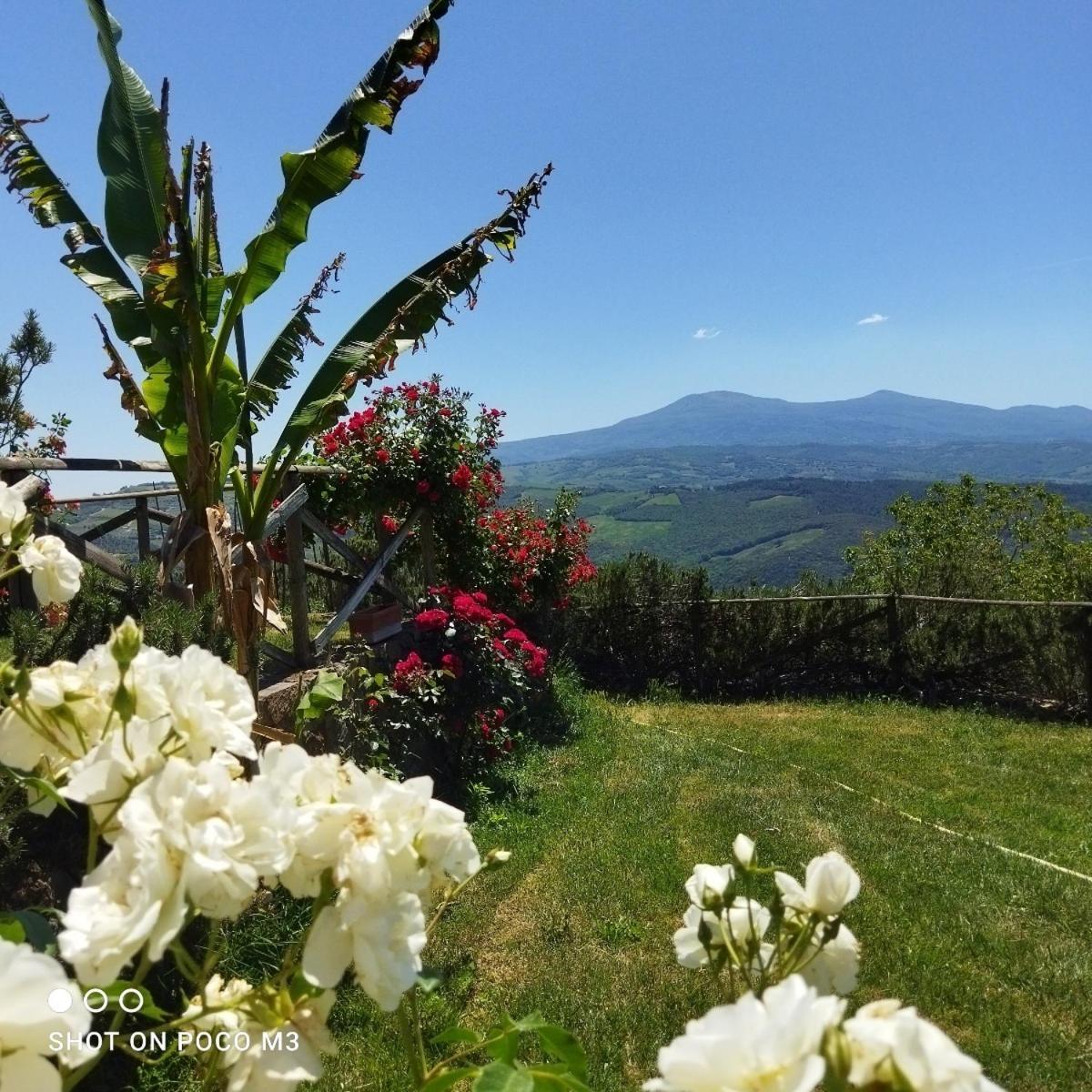 Poggio Al Vento Guest House Castiglione dʼOrcia Екстериор снимка