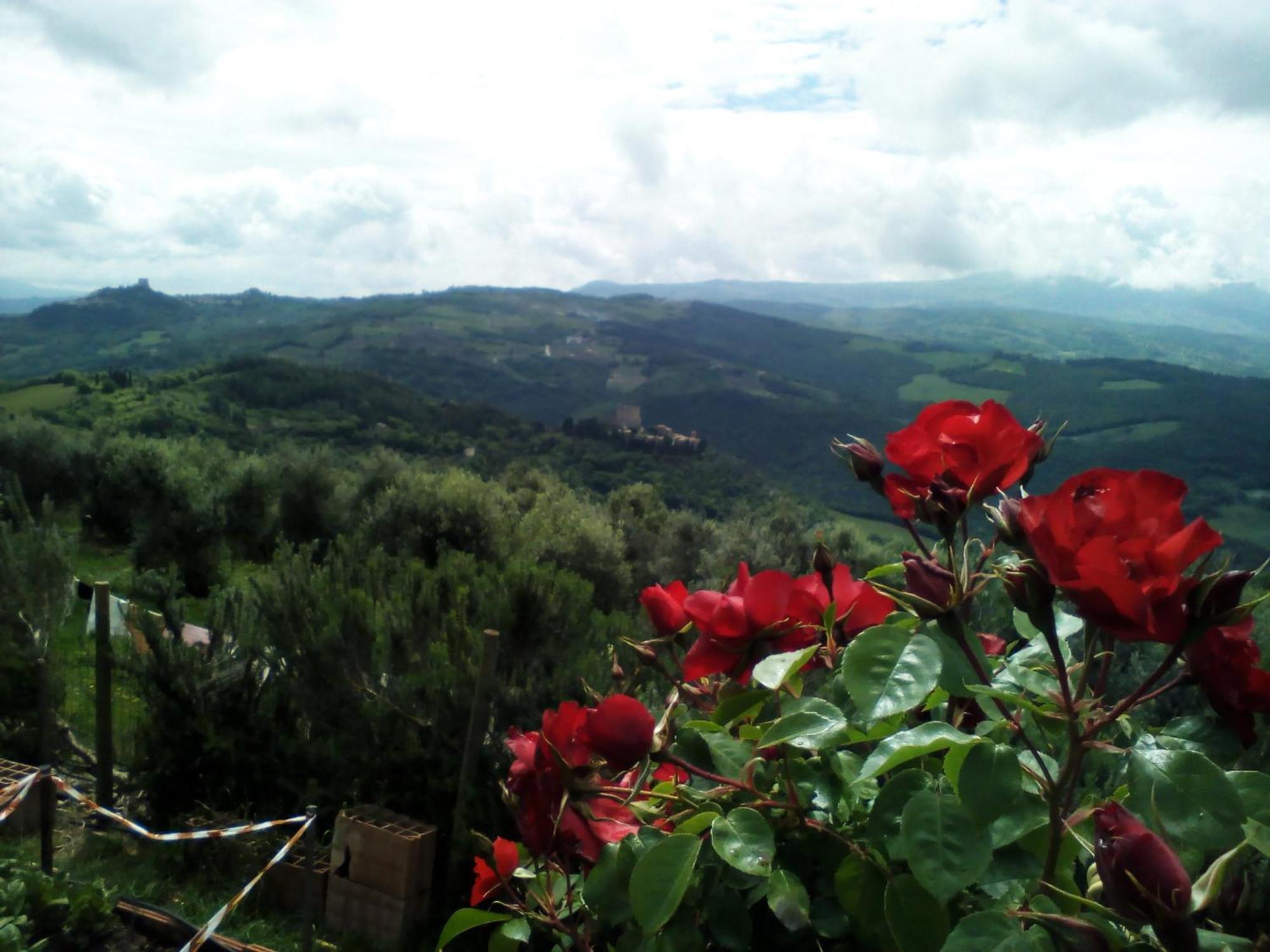 Poggio Al Vento Guest House Castiglione dʼOrcia Екстериор снимка