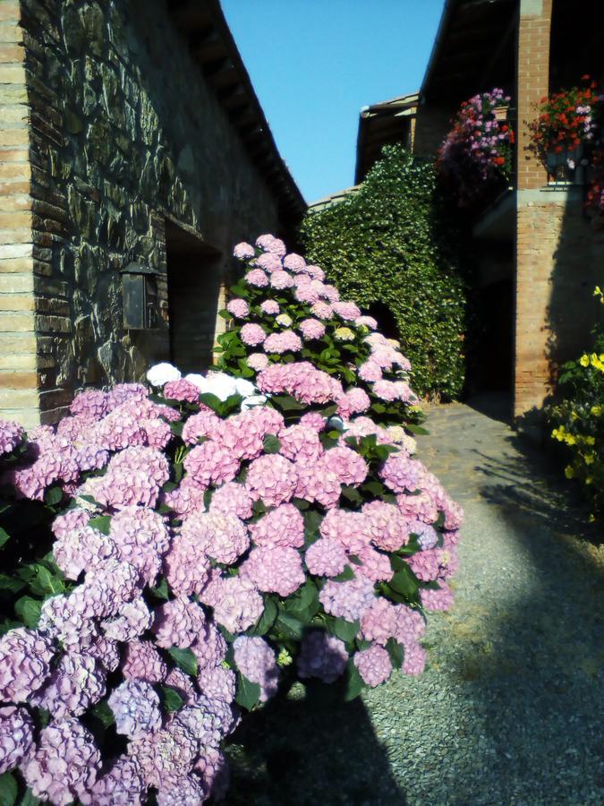 Poggio Al Vento Guest House Castiglione dʼOrcia Екстериор снимка